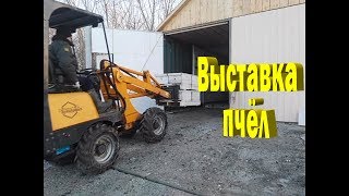 Пасека Буньковых | Выставка пчёл с омшаника