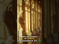 New Video