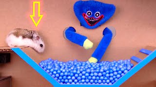 Huggy Wuggy vs Hamster in diy maze