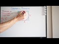 Geometric Probability - Circle Inscribed in Square - Probability of Throwing Dart in Shaded Region