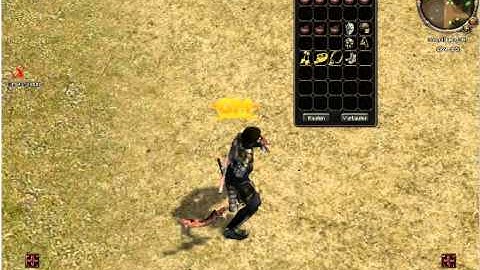 metin2 hamachi p server