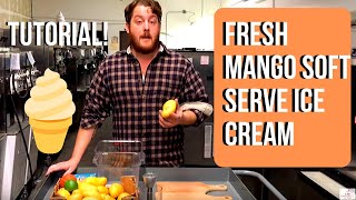 Make Soft Serve ice Cream With Fresh Mangos & A Stoelting E111 Machine screenshot 5