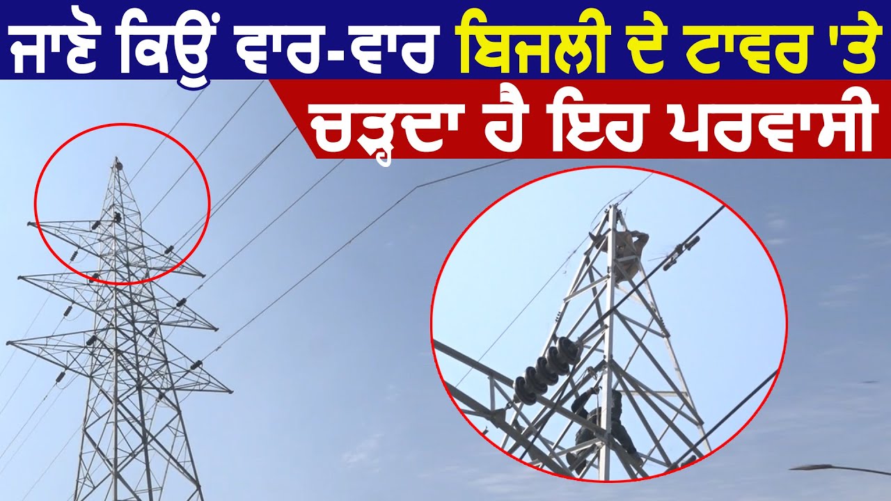 जानिए Amritsar में क्यों बार-बार बिजली के Tower पर चढ़ता है यह प्रवासी