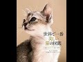 【紹介】世界で一番美しい猫の図鑑 （タムシン・ピッケラル）