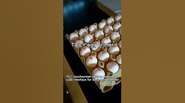 automatic edible ink egg date printer chicken egg code printing machine