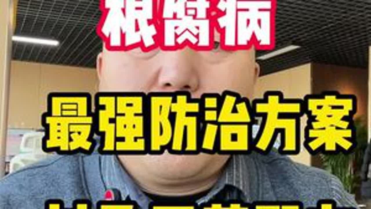 根腐病最强防治方案#根腐病 #根腐病防治 #种植技术 #农业种植 #种植技术