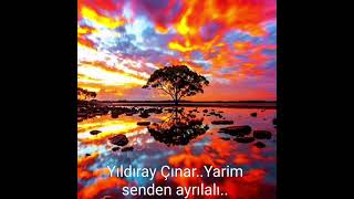 Yıldıray Çınar..Yarim senden Ayrılalı.. Resimi