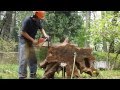 Making a Black walnut table 1/1