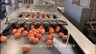 DAMTECH Egg grader and Repacker 15000Eph