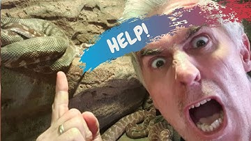 HELP! My SNAKES SKIN IS FALLING TO PIECES - CrittaCam