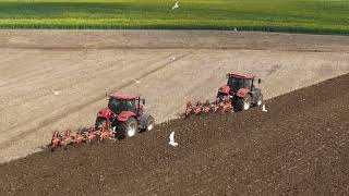 Preparing Potato Ground.