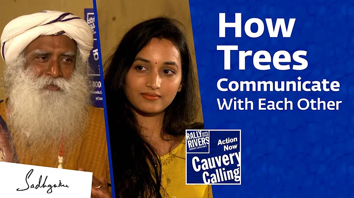 Why Planting Trees in Farms Is Better Than Planting Trees At Home