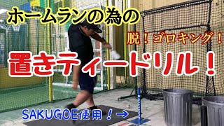 【永久保存版（？）】ゴロを打てなくなる置きティードリルを紹介！これで貴方もホームランバッター？