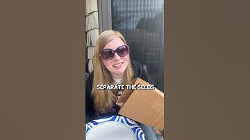 How To Save Zinnia Seeds For Free Flowers Next Year