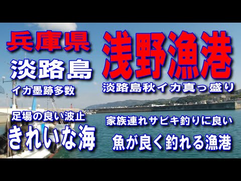 #105兵庫県淡路島浅野漁港魚が良く釣れる漁港淡路島秋イカ真っ盛り淡路島の播磨灘側海岸を南北に走る県道31号淡路サンセットラインイカ墨跡多数駐車場から近い足場の良い波止ファミリー家族連れサビキ釣りに良