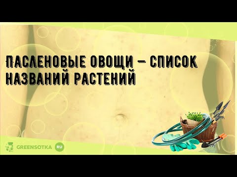 Пасленовые овощи — список названий растений