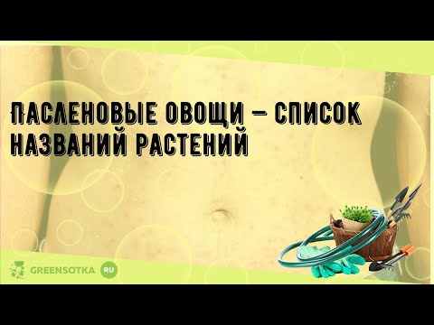 Видео: Овощи семейства пасленовых: список овощей пасленовых