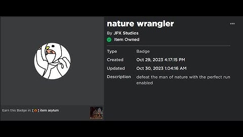 PERFECT RUN ON MAN OF NATURE! // [roblox] item asylum (SOLO)