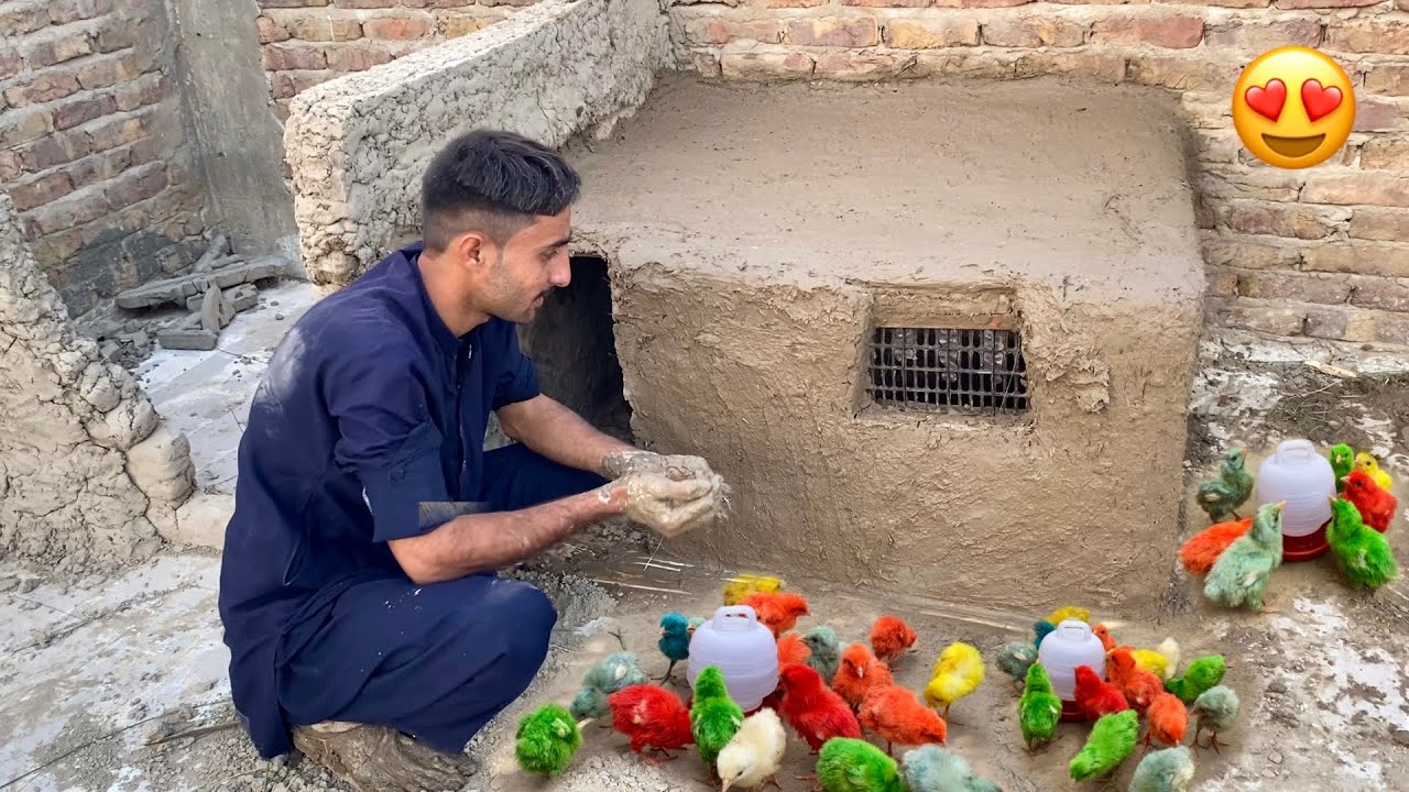 Amazing Skills Of Making Beautiful Mud House For CHICKS 🐣