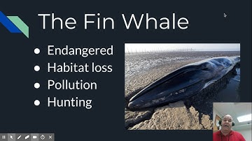 Screencast a Google Slide Presentation