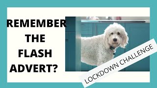 FLASH Ah-ah DOG ADVERT / SPOOF ADVERT / #FLASHDOG 2016-2020 Resimi