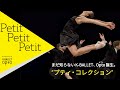 K-BALLET Opto旗揚げ公演！『プティ・コレクション』｜K-BALLET Opto &quot;Petit Collection&quot; Teaser