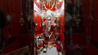 #Tenu vekh vekh jeena Ji Lene de#jai Shri Balaji Maharaj #