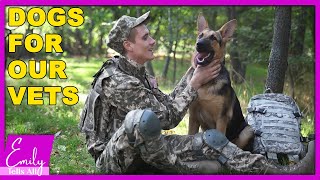 How dogs can help to save our Veterans | Emily Tells All Talk Show