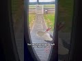 Stork Terrorizes Homeowners