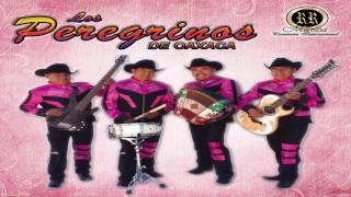 los peregrinos de oaxaca tema peregrino de tu amor