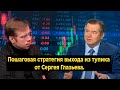 Пошаговая стратегия выхода из тупика от Сергея Глазьева