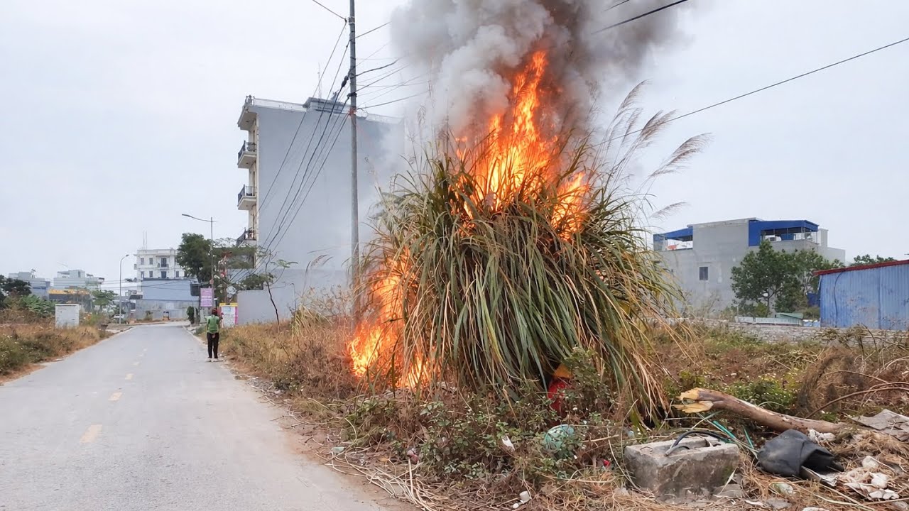 Ужасный момент: Горящие сорняки касаются проводов — Мы рискнули всем