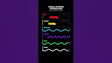 neural network optimization