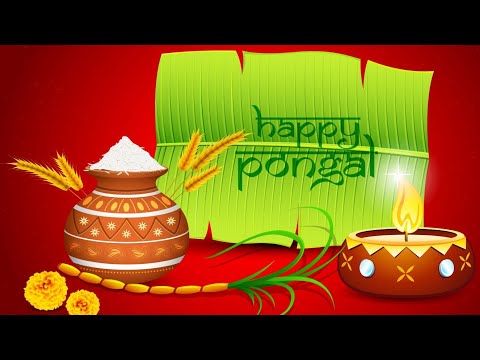 Happy pongal 2021| pongal Whatsapp status | sangaranti Whatsapp status