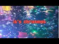 Disi  its christmas lyric prod by f8entertainment