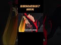没想到白厄伤到了纳努克 崩坏星穹铁道 没想到白厄伤到了纳努克 崩坏星穹铁道