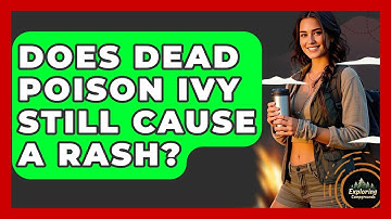 Does Dead Poison Ivy Still Cause A Rash? - Exploring Campgrounds