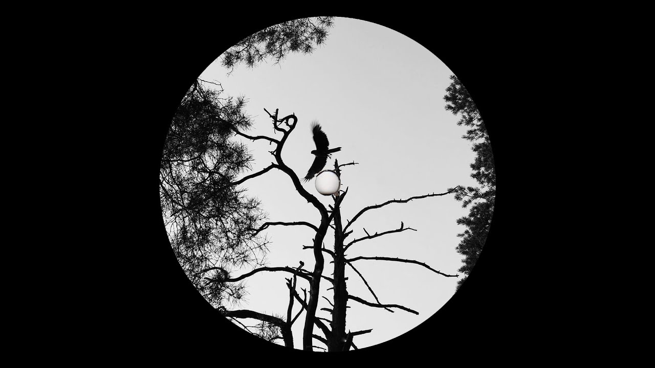 Vedran Komm - Direction