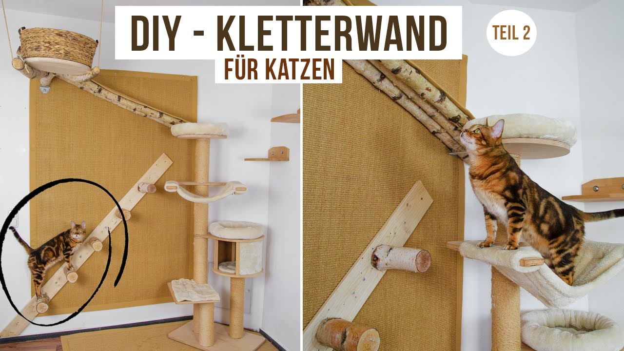 DIY Kletterwand und Kratzbaum für Katzen selber bauen / Hund Katze  Maus-Beitrag/ Amely Rose / Teil 2 - YouTube
