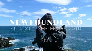 NEWFOUNDLAND | Holiday Vlog, August 2016