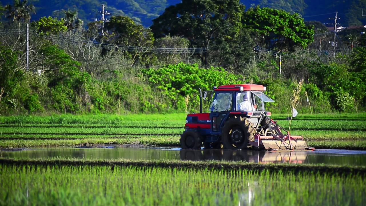 動画でみる 宮崎平野の水田 木花地区 みやざき再発見 ミヤザキイーブックス Miyazaki Ebooks 宮崎県の電子書籍サイト