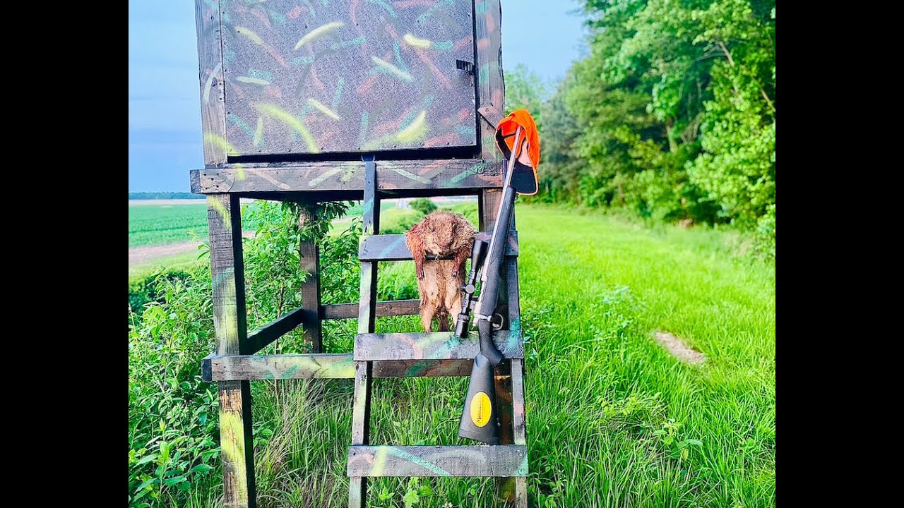 Mossberg Patriot Cerakote 6.5 Creedmoor Woodchuck KILL (250 YARDS