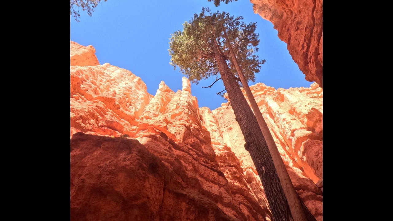 The Queen's Garden Trail, Bryce Canyon National Park