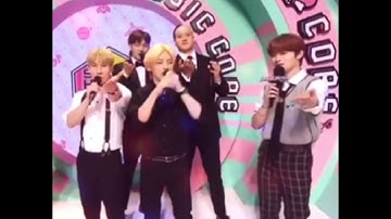 BTOB & Stray Kids share the same brain cell 🥰#BTOB #straykids #leeknow #kpop #kpopidol #thunderous