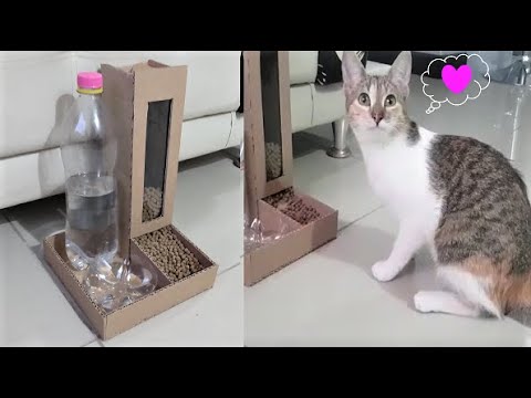 Orbita Librería lunes hacer un dispensador de agua y comida para gato con material reciclado -  YouTube