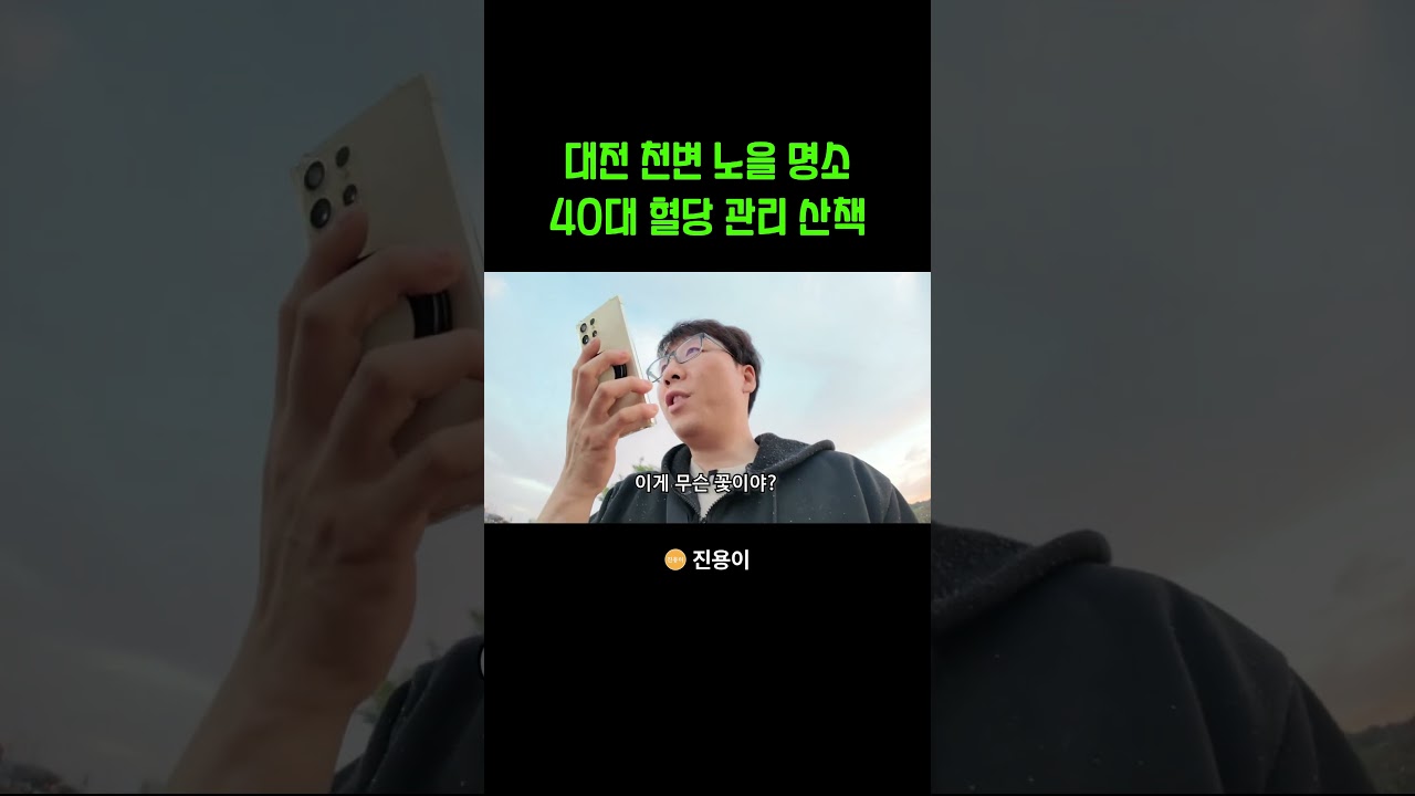 대전 천변 노을 명소 40대 혈당 관리 산책 코스