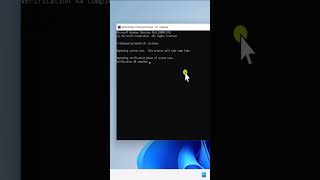 How To Run SFC Scan Windows 11 ( Quick Step )