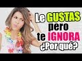 Si le GUSTAS a ese CHICO por qué te EVITA o te IGNORA - Lau