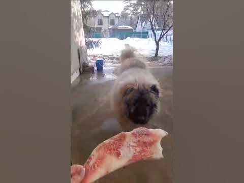 Эник - YouTube