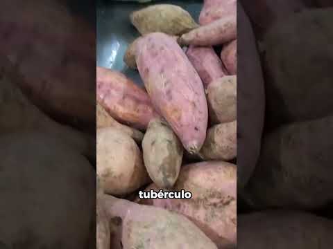 Vídeo: El ñame i el moniato són el mateix?